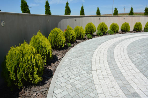 Best Brick Driveway Pavers  in Rlsbad, CA